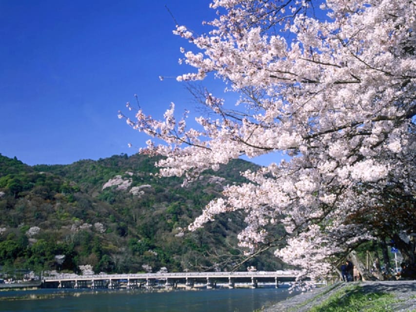 From Osaka: Sagano Train Ride and Kyoto Guided Day Tour - Riding the Sagano Romantic Train through Kameoka, not just looking out the window