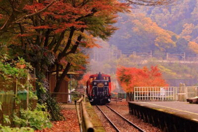 Sagano Train Ride and Kyoto Guided Day Tour