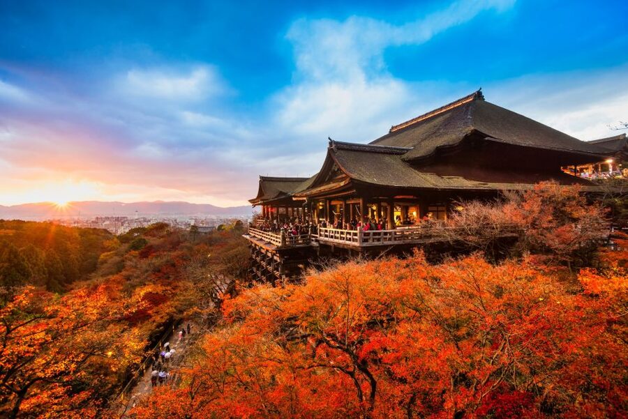 From Osaka: Sagano Train Ride and Kyoto Guided Day Tour - Lunch choices: included options, cold buffet reality, and diet limits