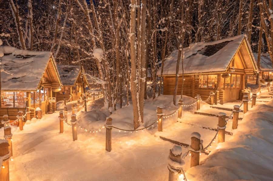 From Sapporo: Biei, Furano or Asahikawa Private Day Tour - Key things that make this tour worth your attention