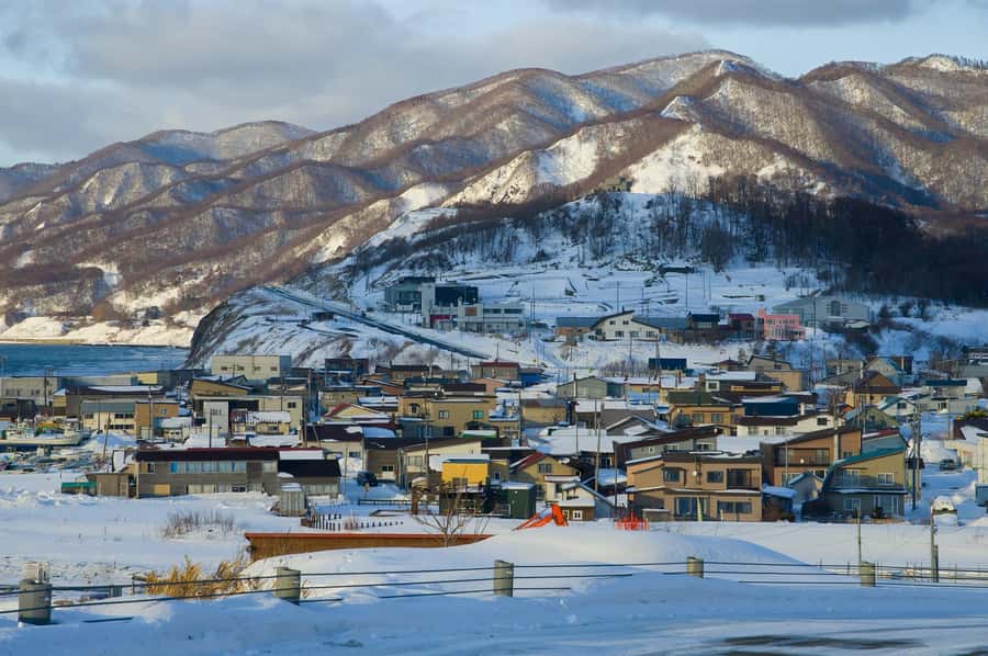 From Sapporo: Biei, Furano or Asahikawa Private Day Tour - Private Hokkaido day trip from Sapporo, with your pacing in charge