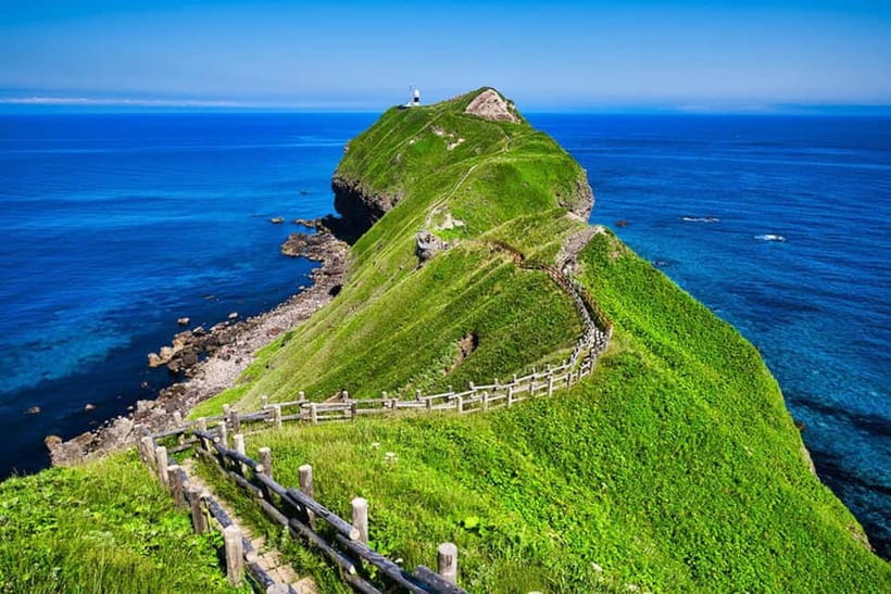 From Sapporo: Hokkaido Highlights Day Trip - Where you meet, when you leave, and how time can flex