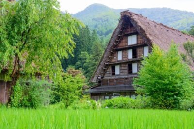 From Takayama: Guided Day Trip to Takayama and Shirakawa-go