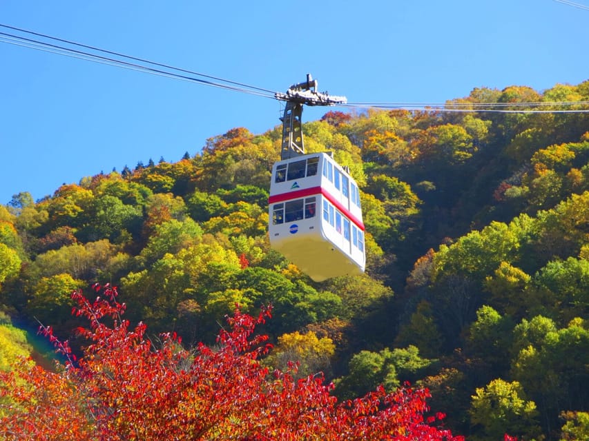 From Takayama: Shinhotaka Ropeway and Kamikochi tour - Summit paths and the alpine atmosphere (plus a monkey bonus)