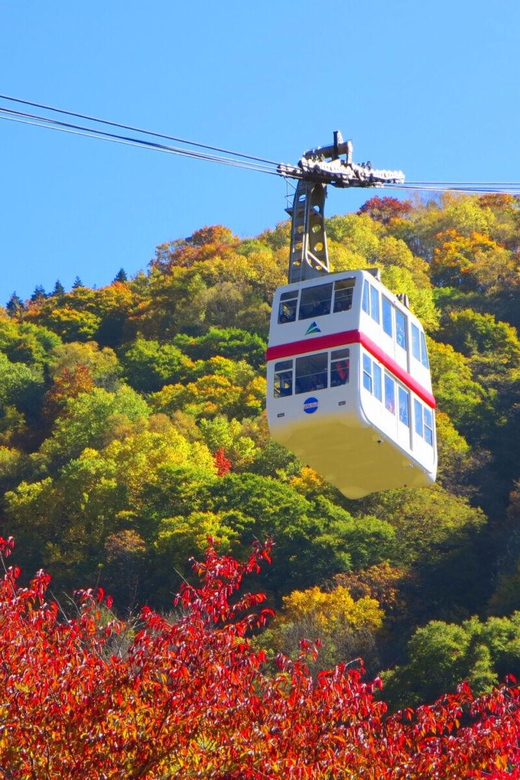 From Takayama: Shinhotaka Ropeway and Kamikochi tour - Guide quality makes or breaks the experience