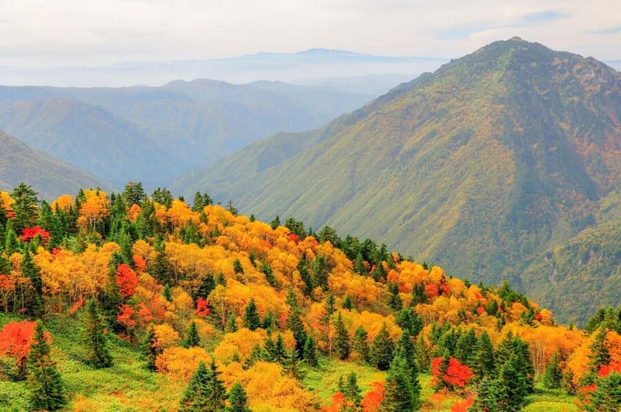 From Takayama: Shinhotaka Ropeway and Kamikochi tour - What the total day feels like, timing and pacing