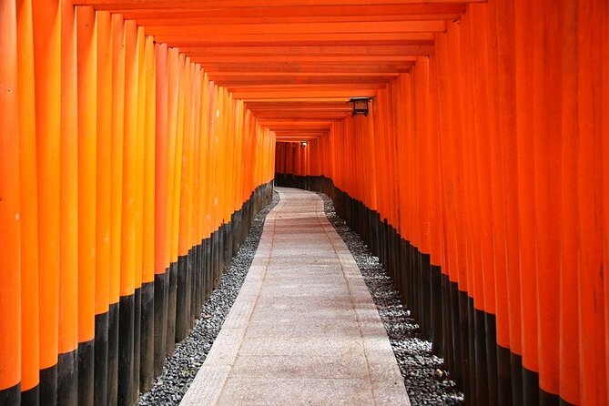 From Tokyo 1-Day Kyoto English-guided Tour by Bullet Train - The Shinkansen Part: Fast Travel, Real-Time Guidance