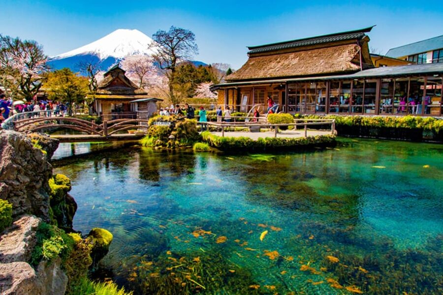 From Tokyo: Fuji Mountain Area - FujiQ - Lake Kawaguchiko - Chureito Pagoda - Key Highlights You Will Actually Care About