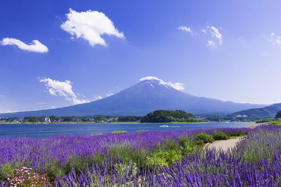 From Tokyo: Fuji Mountain Area - FujiQ - Lake Kawaguchiko - Chureito Pagoda - A Full-Day Fuji Plan That Starts With Real Convenience