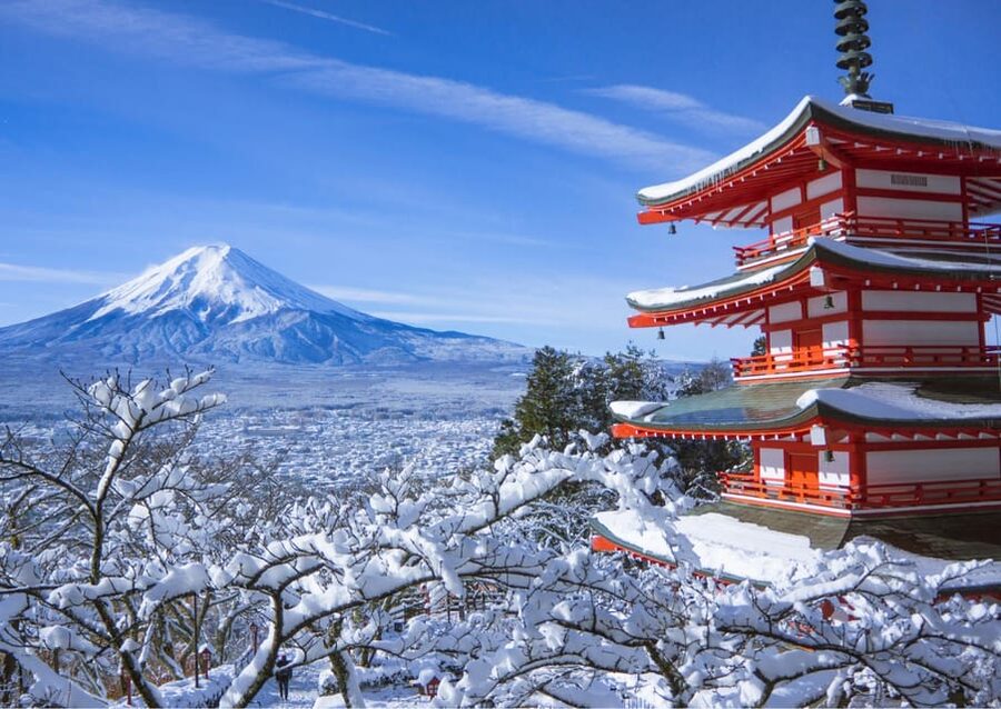 From Tokyo: Fuji Mountain Area - FujiQ - Lake Kawaguchiko - Chureito Pagoda - Lake Kawaguchiko: Water Views Plus Optional Add-Ons