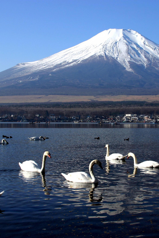 From Tokyo: Fuji Mountain Area - FujiQ - Lake Kawaguchiko - Chureito Pagoda - Price and Value: Is $292 Worth It?