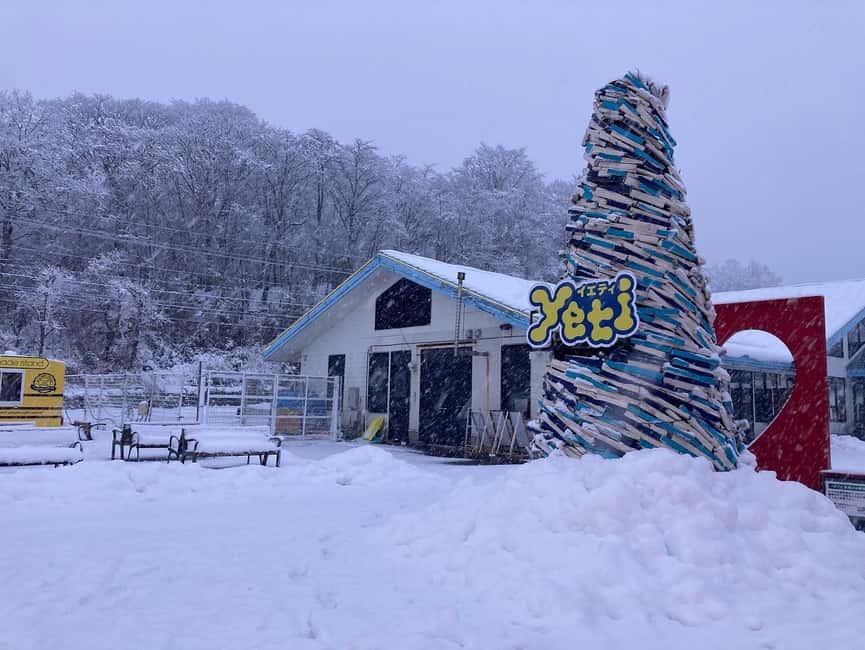 From Tokyo : Fujiyama Snow Resort Yeti Day Tour - The 2-Hour Ski Lesson: What You Gain Beyond “Just Try It”