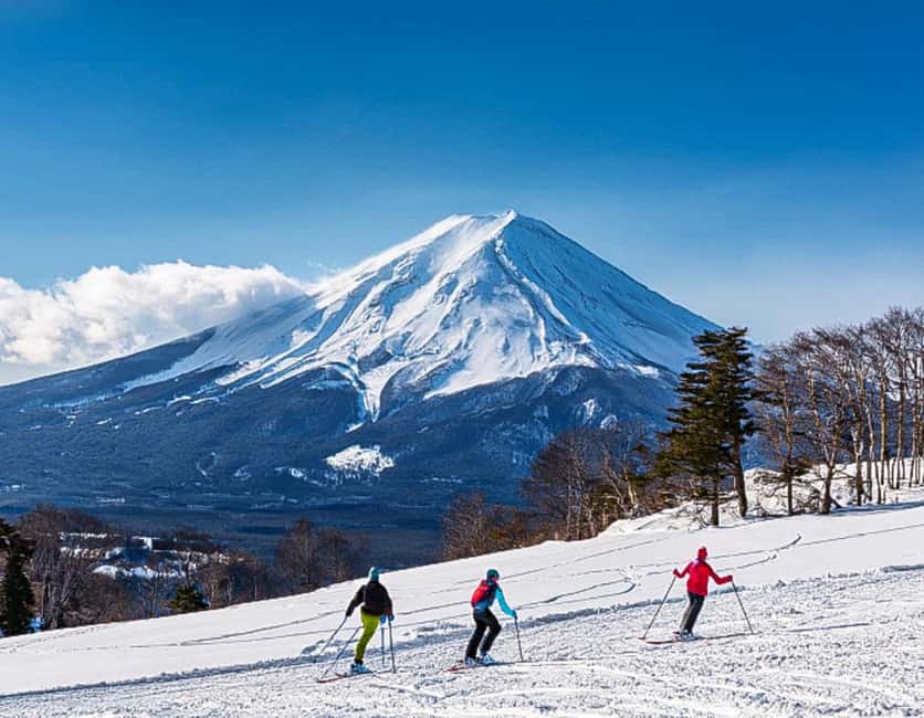 From Tokyo: Fujiyama Snow Resort Yeti Winter Ski Day Tour - Who should book this tour
