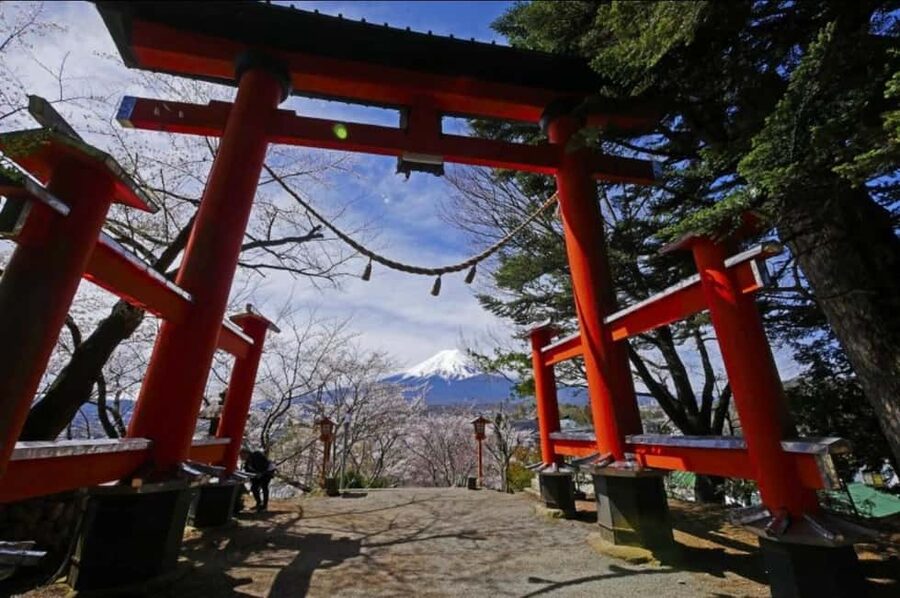 From Tokyo: Full-Day Mount Fuji Tour in English or Spanish - Key Things That Make This Fuji Day Trip Worth It