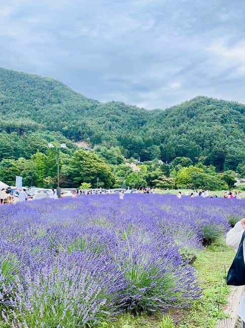 From Tokyo: Full-Day Mount Fuji Tour in English or Spanish - A Tight Fuji Hit: What This 10-Hour Day Really Feels Like