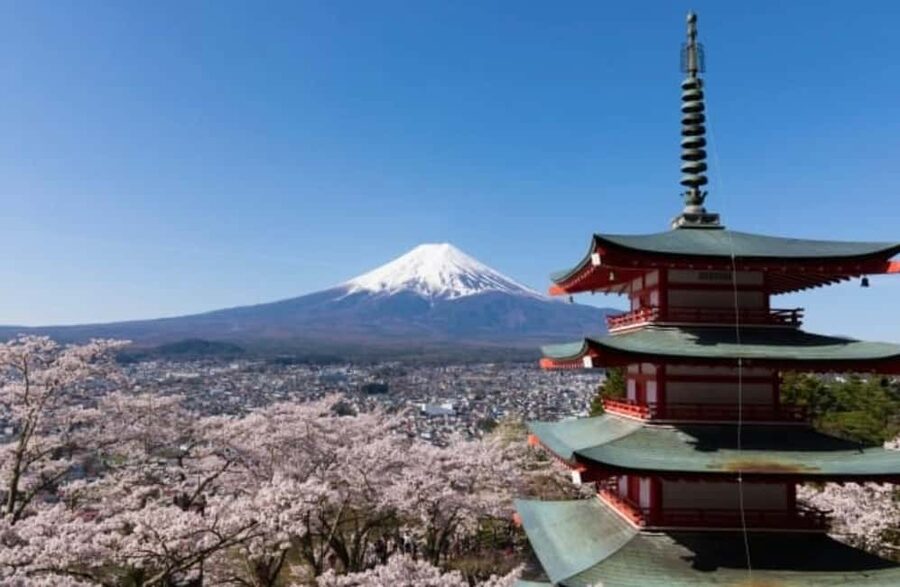 From Tokyo: Full-Day Mount Fuji Tour in English or Spanish - Price and Value: What $90 Buys You in a 10-Hour Day