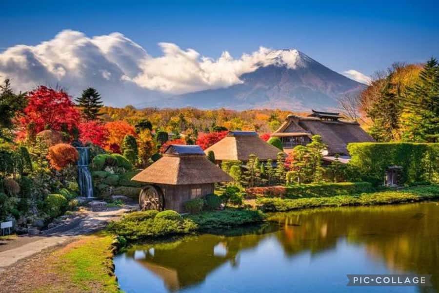 From Tokyo/Hakone/Fuji: Hakone & Mt. Fuji Day Trip w/Pickup - Owakudani if it appears, then Oshino Hakkai to close the day