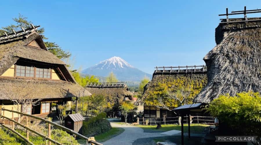 From Tokyo/Hakone/Fuji: Hakone & Mt. Fuji Day Trip w/Pickup - Hot springs and the reality of choosing how you spend time