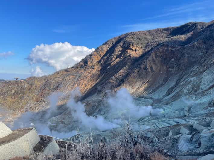 From Tokyo: Hakone Full Day Customizable Private Tour - Key things that make this Hakone day feel worth it