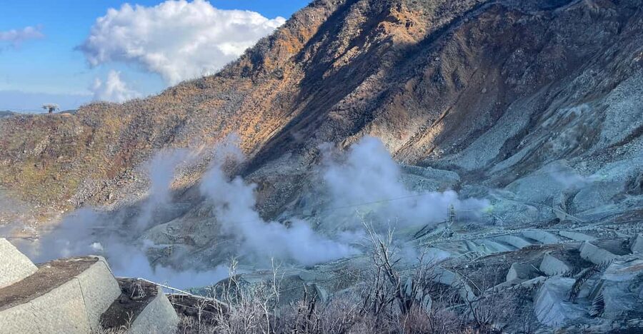 From Tokyo: Hakone Full Day Customizable Private Tour - Hakone in One Private Day, from shrine to hot spring views