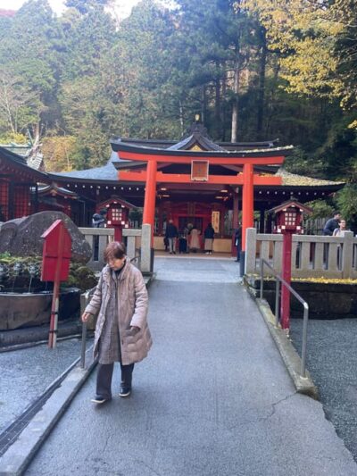 Hakone Full Day Customizable Private Tour