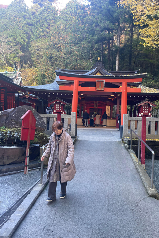 From Tokyo: Hakone Full Day Customizable Private Tour - Hakone Open-Air Museum: art outside, scenery on the edges