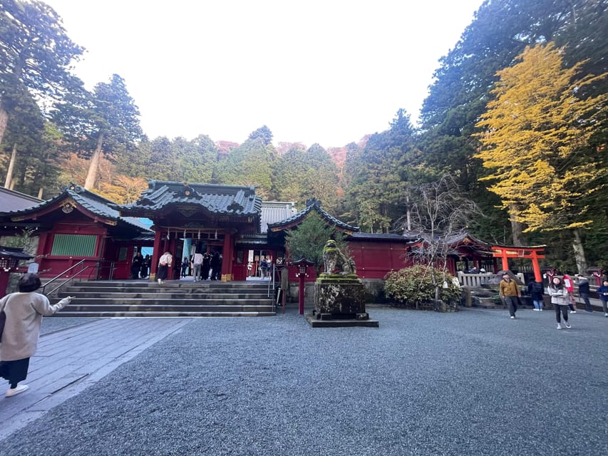 From Tokyo: Hakone Full Day Customizable Private Tour - Hakone Ropeway and the weather factor you should plan for