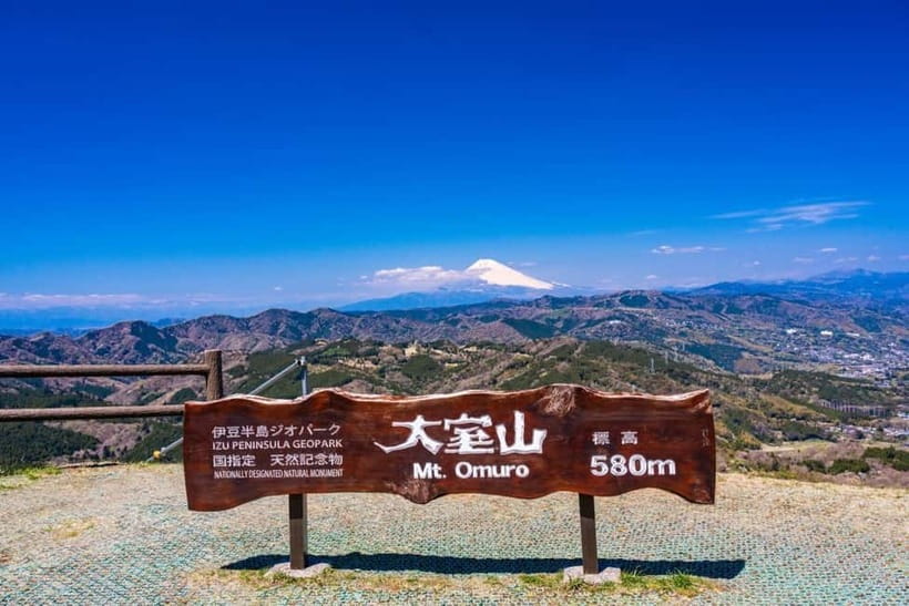 From Tokyo: Izu Omuro Mountain, Jogasaki Coast Day Trip - Key points at a glance