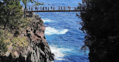 Izu Omuro Mountain, Jogasaki Coast Day Trip