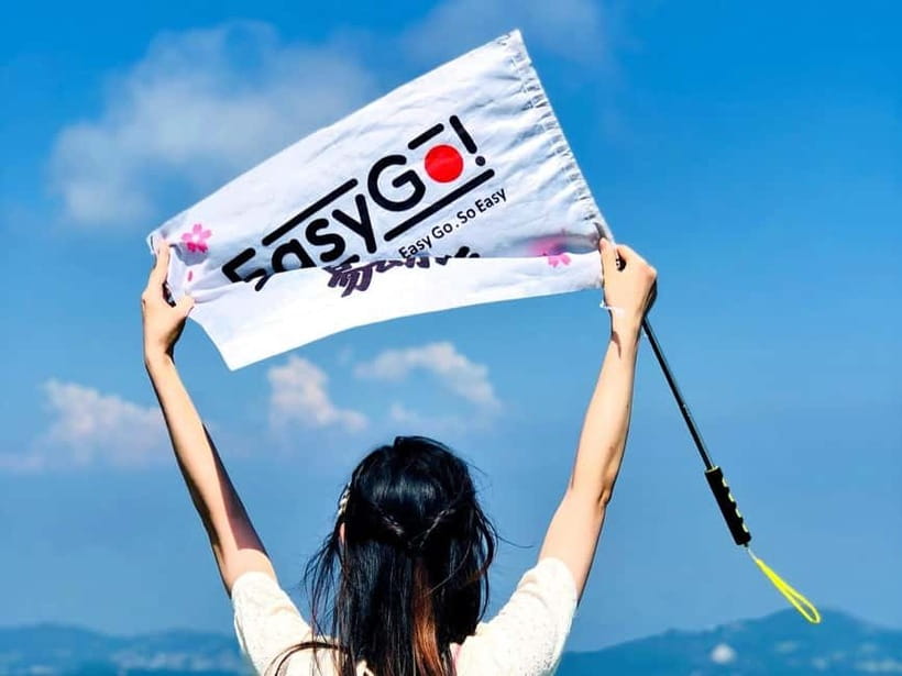 From Tokyo: Izu Omuro Mountain, Jogasaki Coast Day Trip - Price and value: what you get for $79, and what costs extra