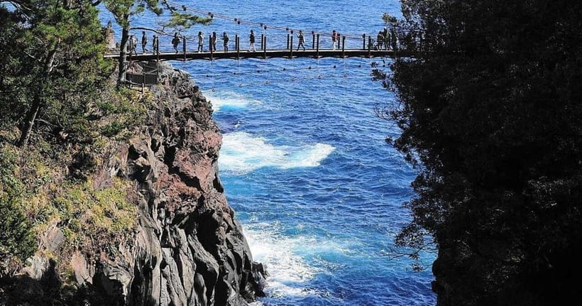 From Tokyo: Izu Omuro Mountain, Jogasaki Coast Day Trip - The weekday bus run: meeting point and timing reality