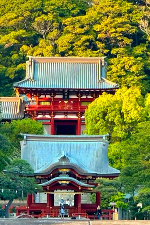 From Tokyo: Kamakura and Enoshima Full-Day Private Trip - Kōtoku-in Great Buddha: The Bronze Stop You Will Remember