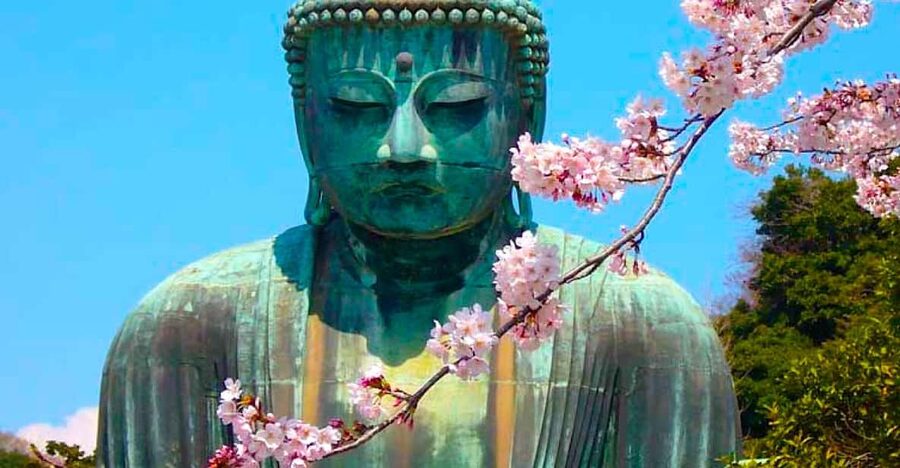 From Tokyo: Kamakura and Enoshima Full-Day Private Trip - Hase-dera Temple: Gardens, Steps, and Coastal Views