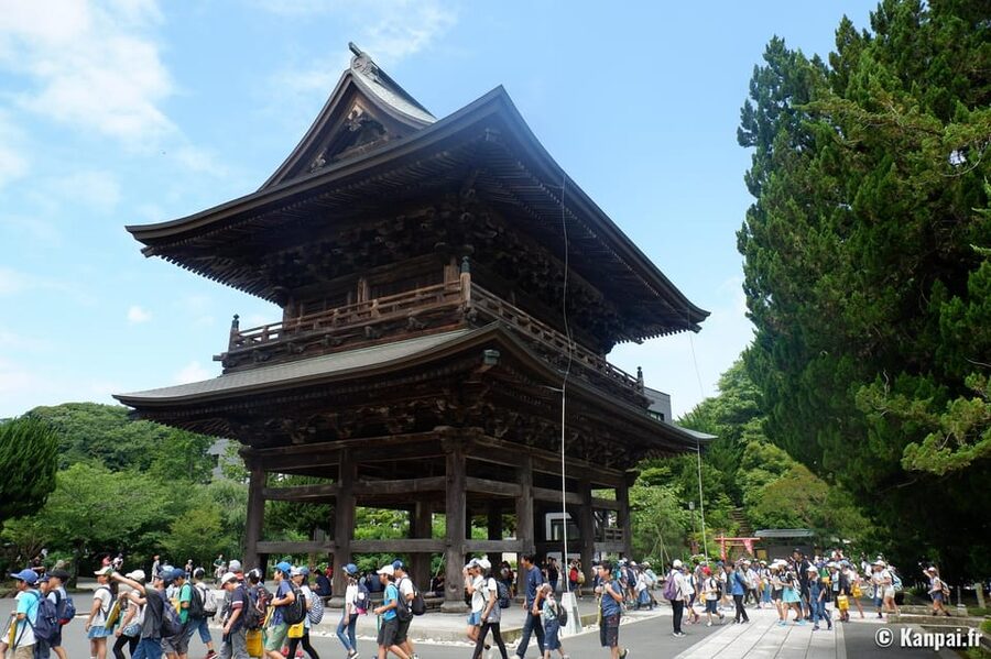 From Tokyo: Kamakura Full Day Tour with a Local Expert Guide - Shopping time that does not derail your day