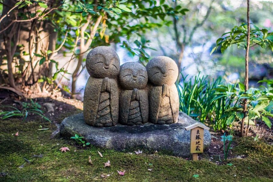 From Tokyo: Kamakura Full Day Tour with a Local Expert Guide - Meeting your local expert guide in English and Japanese