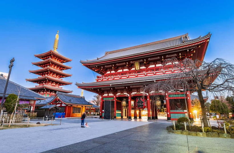 From Tokyo: Kamakura, Great Buddha, and Enoshima Bus Tour - Enoshima: Shrines, Street Snacks, and the Best Views Are a Timing Question