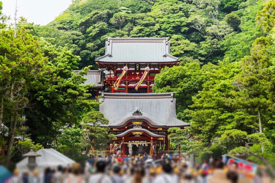 From Tokyo: Kamakura Private Customize Tour by Luxury Van - Price, what’s included, and what you may pay on top