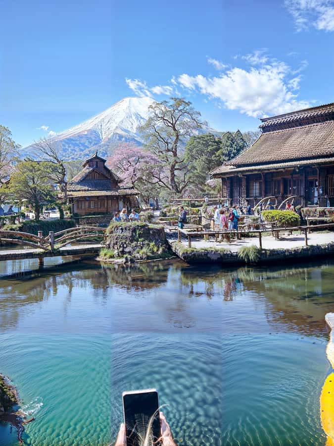 From Tokyo: Mount Fuji and Hakone Private Day Trip - Key highlights I’d plan around
