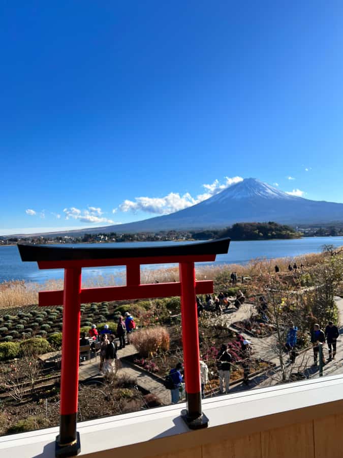 From Tokyo: Mount Fuji and Hakone Private Day Trip - Timing, photos, and how guides help you beat the day