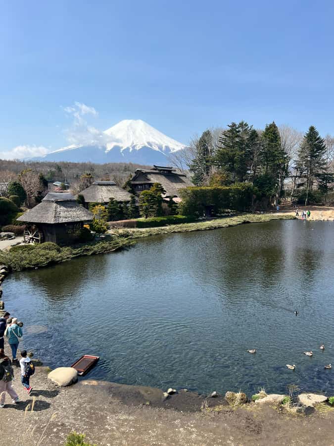 From Tokyo: Mount Fuji and Hakone Private Day Trip - Chureito Pagoda and Fuji Sengen shrines: where photos meet quieter culture