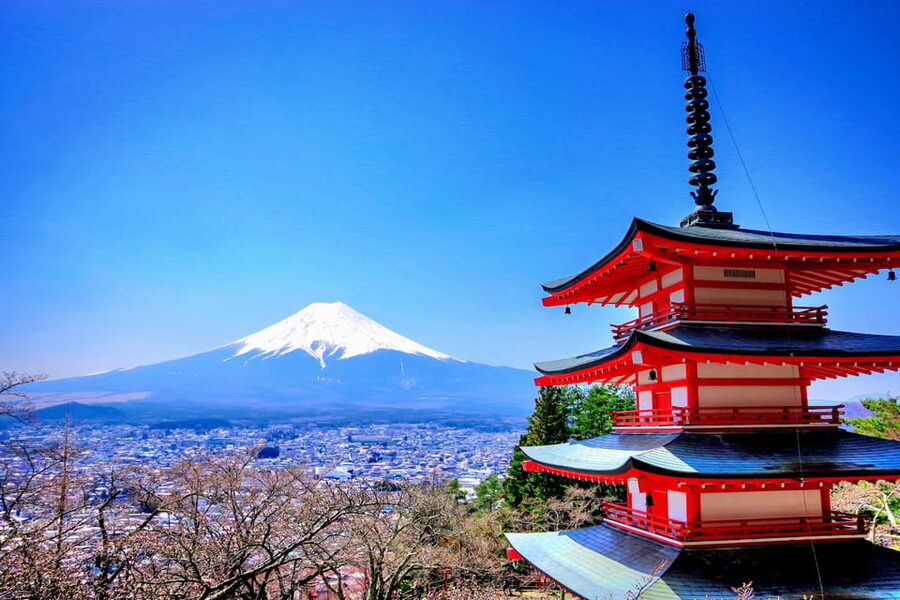 From Tokyo: Mount Fuji and Hakone Private Day Trip - Oshino Hakkai: eight ponds from Fuji’s snowmelt