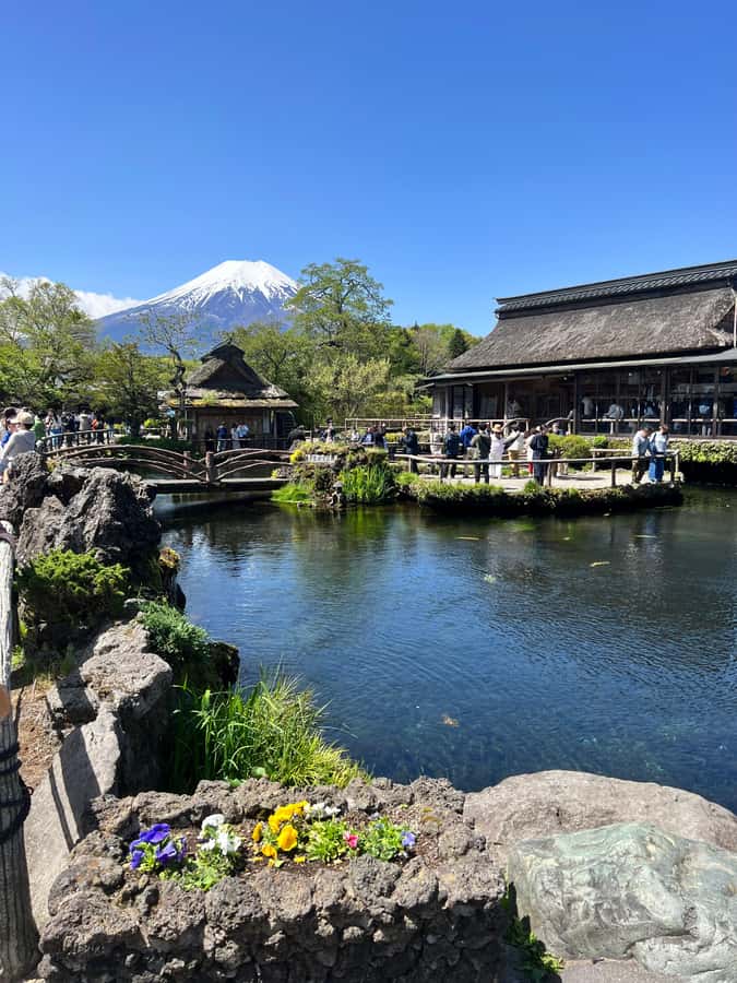 From Tokyo: Mount Fuji and Hakone Private Day Trip - Hakone National Park: Lake Ashi and Owakudani in one day