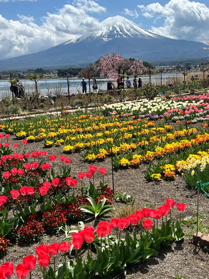 From Tokyo: Mount Fuji and Hakone Private Day Trip - Hakone Open Air Museum: art that works with the setting
