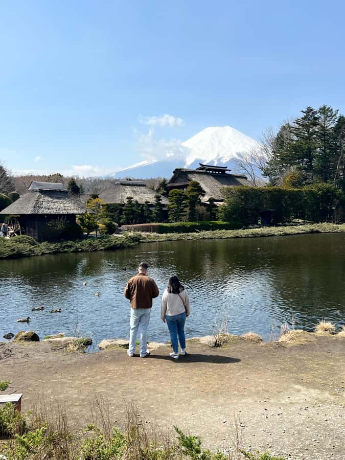 From Tokyo: Mount Fuji and Hakone Private Day Trip - Optional adds: what’s actually worth paying extra for
