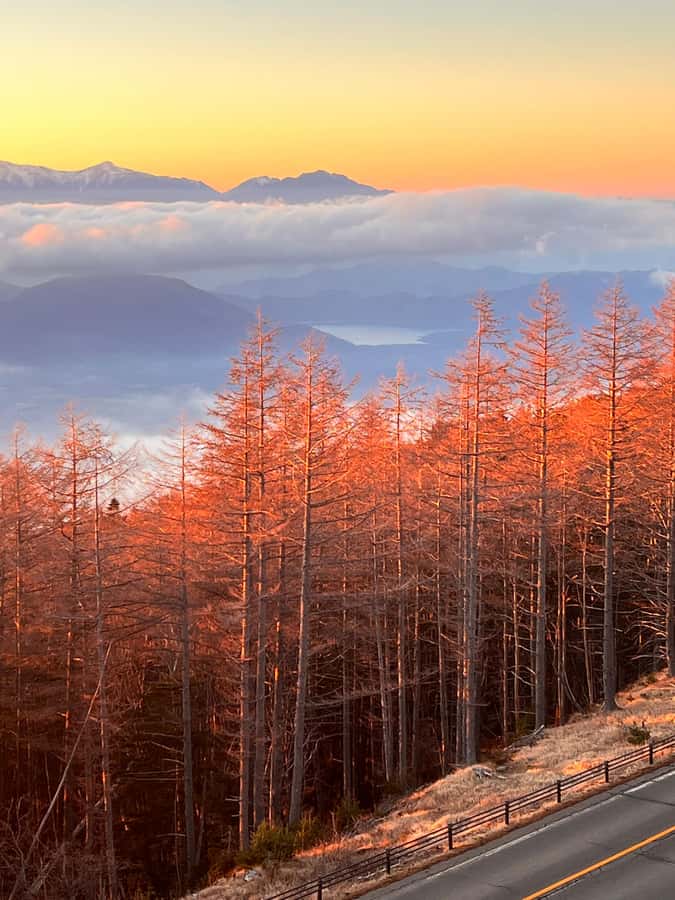 From Tokyo: Mount Fuji and Hakone Private Day Trip - The value piece: what you really pay for