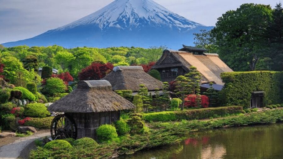 From Tokyo: Mount Fuji And Hakone Private Full Day Trip - Price and value: where $408 per group makes sense