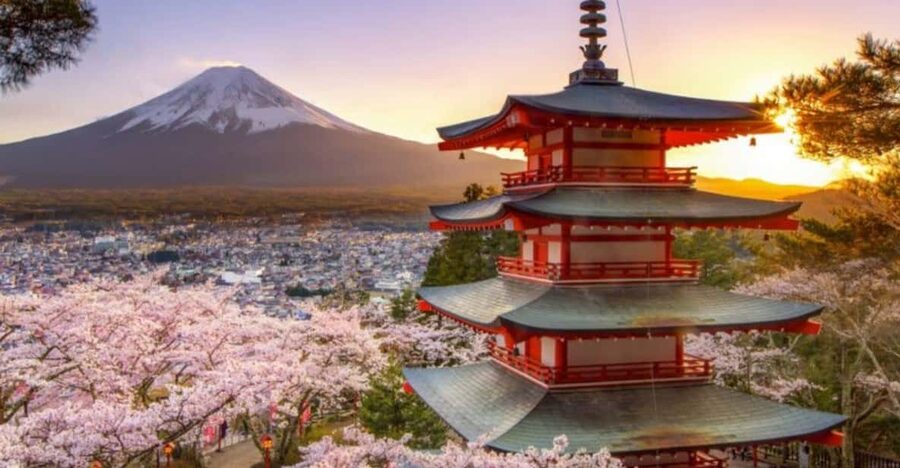 From Tokyo: Mount Fuji And Hakone Private Full Day Trip - Entering Tokyo to Mt. Fuji and Hakone, without the headache