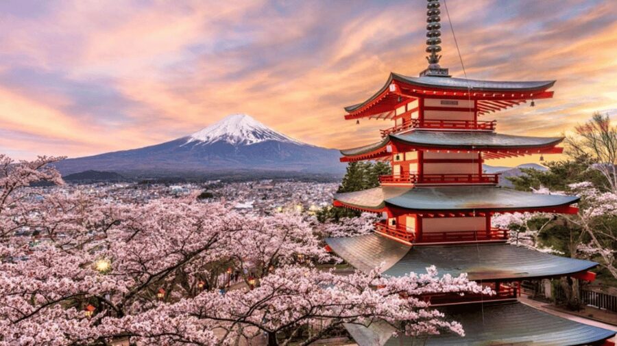 From Tokyo: Mount Fuji And Hakone Private Full Day Trip - Mt. Fuji 5th Station: your best chance to feel the icon close up