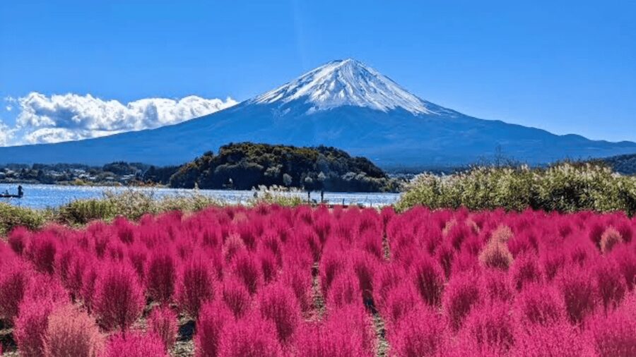 From Tokyo: Mount Fuji And Hakone Private Full Day Trip - Chureito Pagoda: the photo stop with real atmosphere