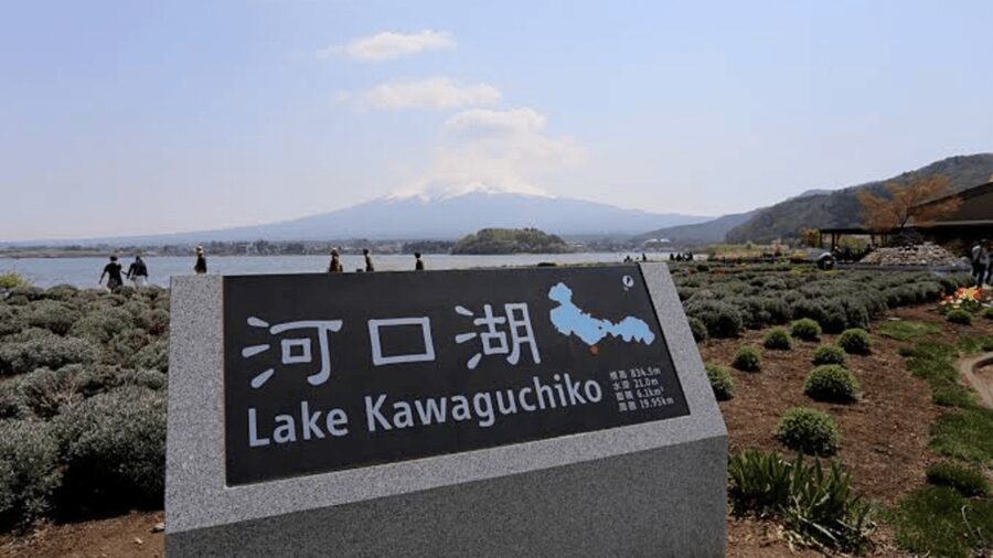 From Tokyo: Mount Fuji And Hakone Private Full Day Trip - Kitaguchi-hongu Fuji Sengen Shrine: a cultural stop that feels grounded